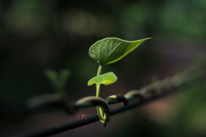 Stark återhämtning i svensk detaljhandel